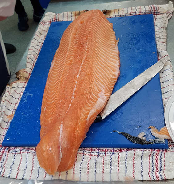 A whole side of salmon