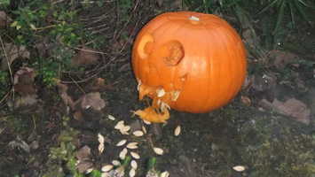 Winner: For inventive use of pumpkin innards!