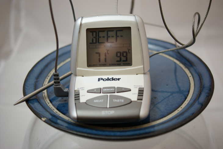 Useless Polder Meat Thermometer