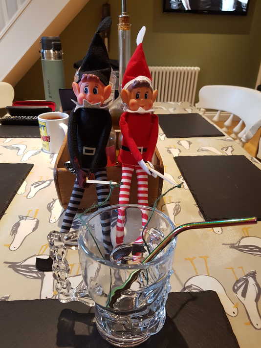 Puckish Elves Fishing in George's Juice Glass